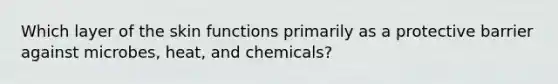 Which layer of the skin functions primarily as a protective barrier against microbes, heat, and chemicals?