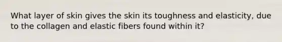 What layer of skin gives the skin its toughness and elasticity, due to the collagen and elastic fibers found within it?