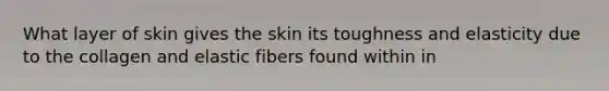 What layer of skin gives the skin its toughness and elasticity due to the collagen and elastic fibers found within in