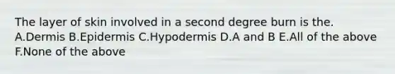 The layer of skin involved in a second degree burn is the. A.Dermis B.Epidermis C.Hypodermis D.A and B E.All of the above F.None of the above