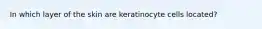 In which layer of the skin are keratinocyte cells located?