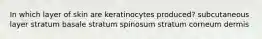 In which layer of skin are keratinocytes produced? subcutaneous layer stratum basale stratum spinosum stratum corneum dermis