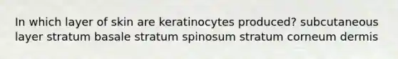 In which layer of skin are keratinocytes produced? subcutaneous layer stratum basale stratum spinosum stratum corneum dermis