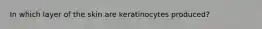 In which layer of the skin are keratinocytes produced?