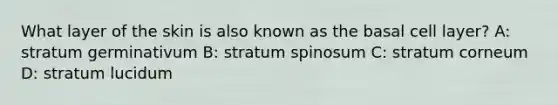 What layer of the skin is also known as the basal cell layer? A: stratum germinativum B: stratum spinosum C: stratum corneum D: stratum lucidum