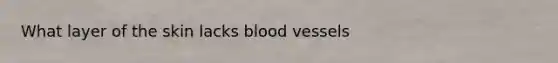 What layer of the skin lacks blood vessels