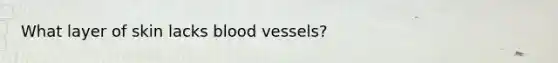 What layer of skin lacks blood vessels?