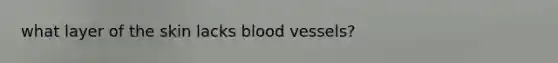 what layer of the skin lacks blood vessels?