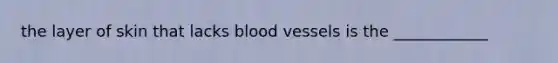 the layer of skin that lacks blood vessels is the ____________