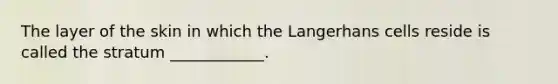 The layer of the skin in which the Langerhans cells reside is called the stratum ____________.