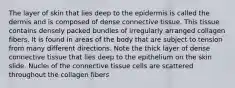 The layer of skin that lies deep to the epidermis is called the dermis and is composed of dense connective tissue. This tissue contains densely packed bundles of irregularly arranged collagen fibers. It is found in areas of the body that are subject to tension from many different directions. Note the thick layer of dense connective tissue that lies deep to the epithelium on the skin slide. Nuclei of the connective tissue cells are scattered throughout the collagen fibers