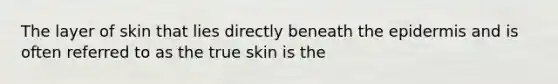 The layer of skin that lies directly beneath the epidermis and is often referred to as the true skin is the