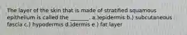 The layer of the skin that is made of stratified squamous epithelium is called the _______. a.)epidermis b.) subcutaneous fascia c.) hypodermis d.)dermis e.) fat layer