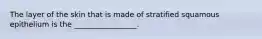 The layer of the skin that is made of stratified squamous epithelium is the _________________.