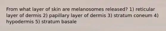 From what layer of skin are melanosomes released? 1) reticular layer of dermis 2) papillary layer of dermis 3) stratum coneum 4) hypodermis 5) stratum basale