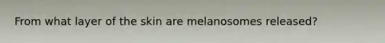 From what layer of the skin are melanosomes released?