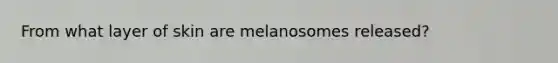 From what layer of skin are melanosomes released?