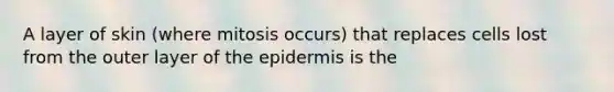 A layer of skin (where mitosis occurs) that replaces cells lost from the outer layer of the epidermis is the