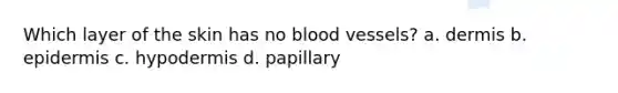 Which layer of the skin has no blood vessels? a. dermis b. epidermis c. hypodermis d. papillary