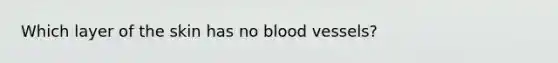 Which layer of the skin has no blood vessels?