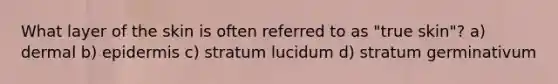 What layer of the skin is often referred to as "true skin"? a) dermal b) epidermis c) stratum lucidum d) stratum germinativum