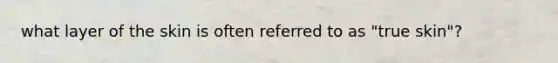 what layer of the skin is often referred to as "true skin"?