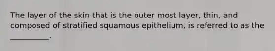 The layer of the skin that is the outer most layer, thin, and composed of stratified squamous epithelium, is referred to as the __________.