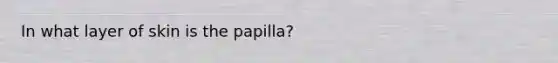 In what layer of skin is the papilla?