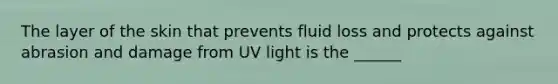 The layer of the skin that prevents fluid loss and protects against abrasion and damage from UV light is the ______