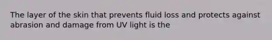 The layer of the skin that prevents fluid loss and protects against abrasion and damage from UV light is the