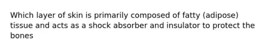 Which layer of skin is primarily composed of fatty (adipose) tissue and acts as a shock absorber and insulator to protect the bones