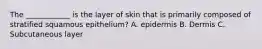 The ____________ is the layer of skin that is primarily composed of stratified squamous epithelium? A. epidermis B. Dermis C. Subcutaneous layer