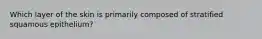 Which layer of the skin is primarily composed of stratified squamous epithelium?