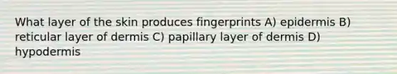 What layer of the skin produces fingerprints A) epidermis B) reticular layer of dermis C) papillary layer of dermis D) hypodermis