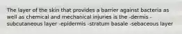 The layer of the skin that provides a barrier against bacteria as well as chemical and mechanical injuries is the -dermis -subcutaneous layer -epidermis -stratum basale -sebaceous layer