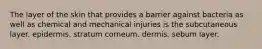 The layer of the skin that provides a barrier against bacteria as well as chemical and mechanical injuries is the subcutaneous layer. epidermis. stratum corneum. dermis. sebum layer.