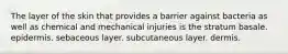 The layer of the skin that provides a barrier against bacteria as well as chemical and mechanical injuries is the stratum basale. epidermis. sebaceous layer. subcutaneous layer. dermis.