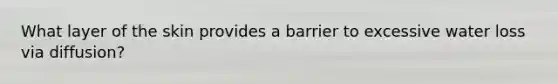 What layer of the skin provides a barrier to excessive water loss via diffusion?