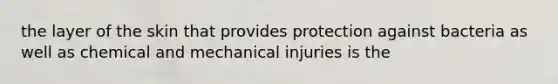 the layer of the skin that provides protection against bacteria as well as chemical and mechanical injuries is the