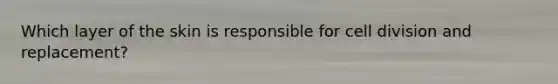 Which layer of the skin is responsible for cell division and replacement?