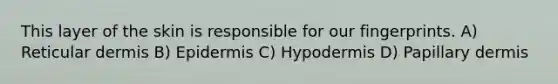 This layer of the skin is responsible for our fingerprints. A) Reticular dermis B) Epidermis C) Hypodermis D) Papillary dermis