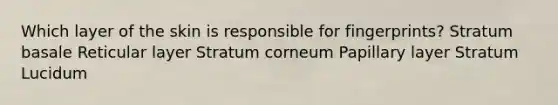 Which layer of the skin is responsible for fingerprints? Stratum basale Reticular layer Stratum corneum Papillary layer Stratum Lucidum