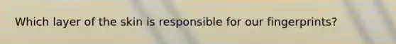 Which layer of the skin is responsible for our fingerprints?