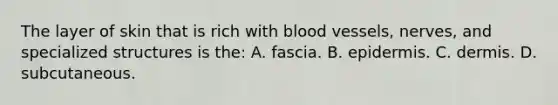 The layer of skin that is rich with blood​ vessels, nerves, and specialized structures is​ the: A. fascia. B. epidermis. C. dermis. D. subcutaneous.