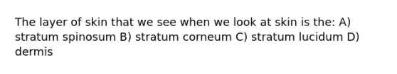 The layer of skin that we see when we look at skin is the: A) stratum spinosum B) stratum corneum C) stratum lucidum D) dermis