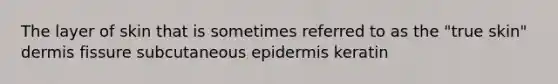The layer of skin that is sometimes referred to as the "true skin" dermis fissure subcutaneous epidermis keratin