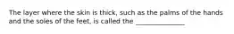 The layer where the skin is thick, such as the palms of the hands and the soles of the feet, is called the _______________