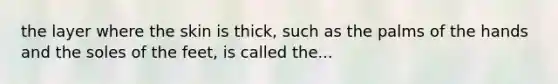 the layer where the skin is thick, such as the palms of the hands and the soles of the feet, is called the...