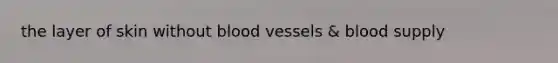 the layer of skin without <a href='https://www.questionai.com/knowledge/kZJ3mNKN7P-blood-vessels' class='anchor-knowledge'>blood vessels</a> & blood supply