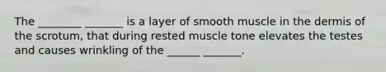 The ________ _______ is a layer of smooth muscle in the dermis of the scrotum, that during rested muscle tone elevates the testes and causes wrinkling of the ______ _______.